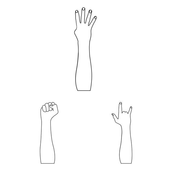 Obiect izolat de simbol animat și degetul mare. Colecție de simboluri animate și gesturi stoc pentru web . — Vector de stoc