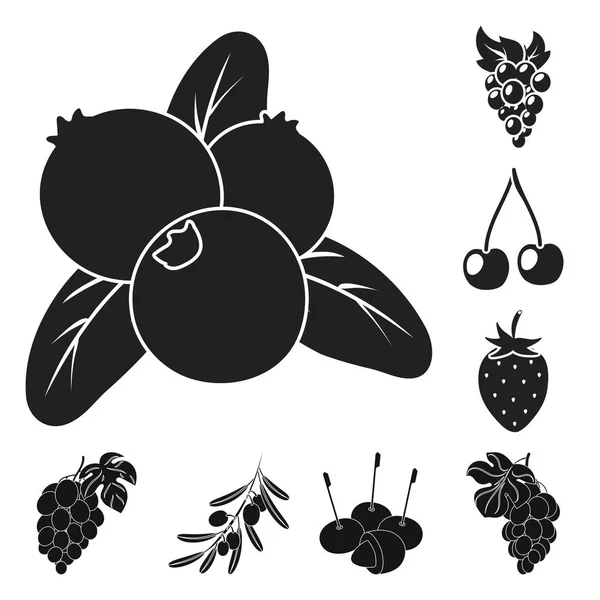 Na białym tle obiekt ikona jagody i owoce. Zbiór jagód i redberry wektor ikona na magazynie. — Wektor stockowy