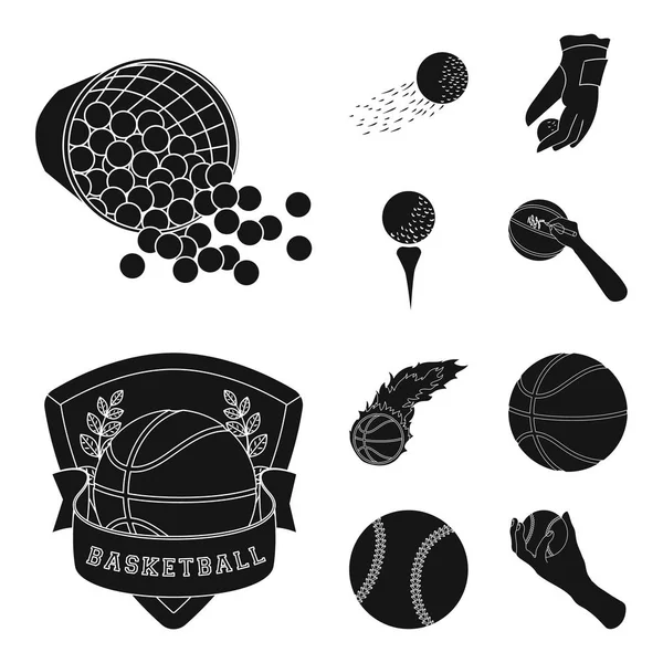 Vector illustration of ball and soccer icon. Set of ball and basketball stock symbol for web. — Stock Vector