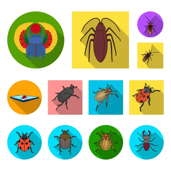 Vector design of insect and beetle icon. Collection of insect and halloween vector icon for stock. — Stock Vector