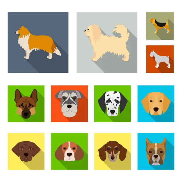 Objeto aislado del logotipo lindo y cachorro. Conjunto de ilustración de vector de stock lindo y animal . — Vector de stock