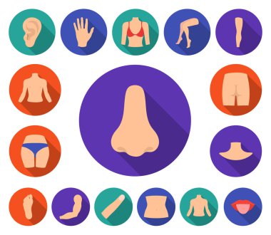 Vücut, bacak set koleksiyonu tasarım için düz simgeleri parçası. İnsan anatomisi vektör simge stok web çizimi.