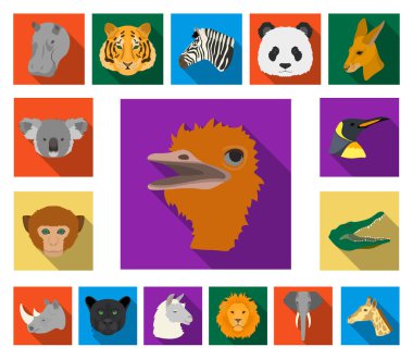 Set koleksiyonu tasarım için vahşi hayvan düz simgeler. Mammal ve kuş sembol stok web illüstrasyon vektör.