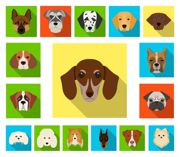 Dog breeds flat icons in set collection for design.Muzzle of a dog vector symbol stock web illustration. — Stock Vector