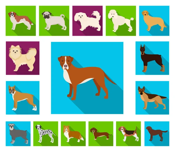 Perro razas de iconos planos en la colección de conjuntos para design.Dog mascota vector símbolo stock web ilustración . — Archivo Imágenes Vectoriales