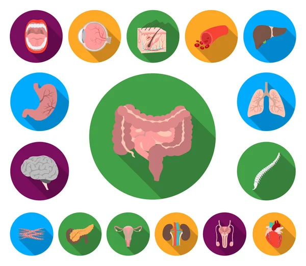 Los órganos interiores de los iconos humanos planos en la colección de conjuntos para el diseño. Anatomía y medicina vector símbolo stock web ilustración . — Vector de stock