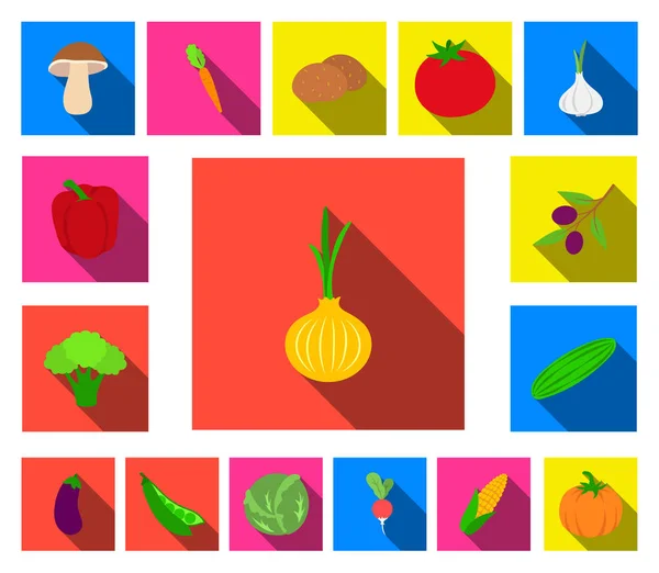 Diferentes tipos de vegetais ícones planos na coleção de conjuntos para design. Vegetais e vitaminas símbolo vetorial web ilustração . — Vetor de Stock