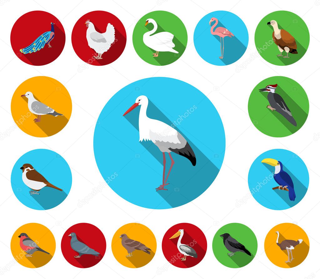 Types of birds flat icons in set collection for design. Home and wild bird vector symbol stock  illustration.