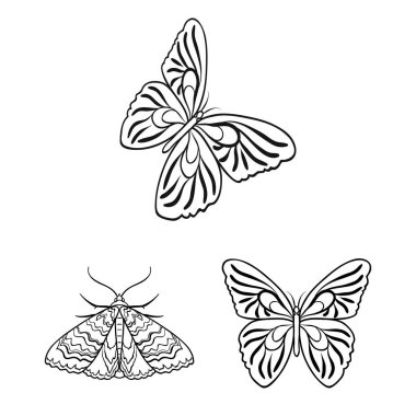 Renk ve bahar logo vektör tasarımı. Rengini ayarla ve stok vektör çizim sinek.