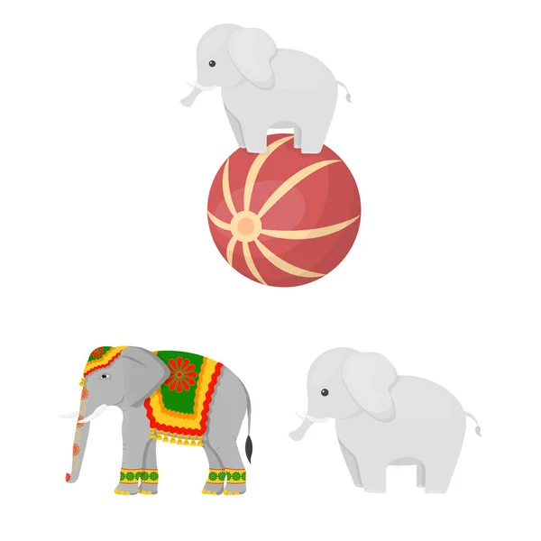 Isolated object of elephant and asian icon. Collection of elephant and elephant vector icon for stock. — Stock Vector