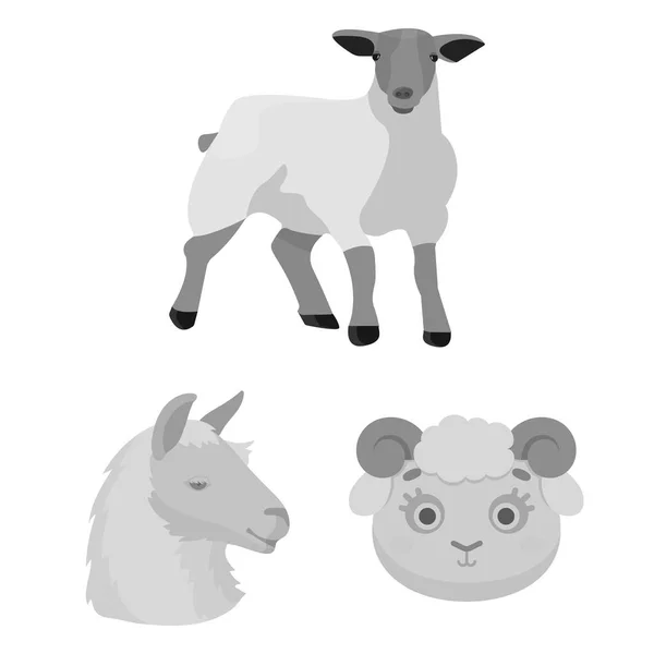 Векторний дизайн іконок овець і козлів. Набір овець і щасливий запас Векторні ілюстрації . — стоковий вектор