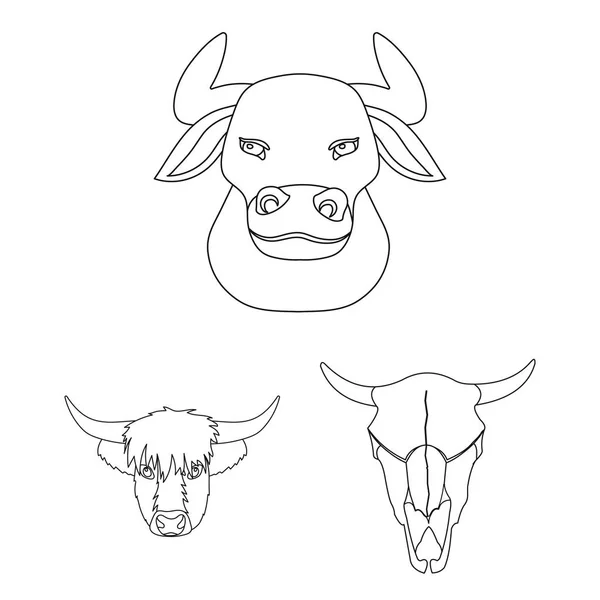 Vektor-Design von Geweih und Tier-Logo. Set aus Geweih und Totenstockvektor Illustration. — Stockvektor