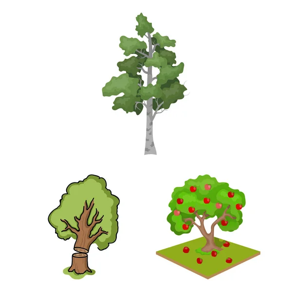 Isolated object of tree  and forest icon. Collection of tree  and green vector icon for stock. — Stock Vector