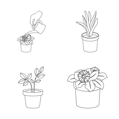 Bitkinin illüstrasyon vektör ve işareti çiçek. Bitki ve pot hisse senedi simgesi için web topluluğu.