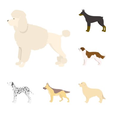 Sevimli vektör tasarımı ve köpek yavrusu simgesi. Şirin ve hayvan hisse senedi vektör çizim topluluğu.