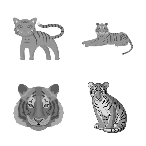Vektorillustration av tiger och asiatiska logotyp. Uppsättning av tiger och tatuering lager vektorillustration. — Stock vektor