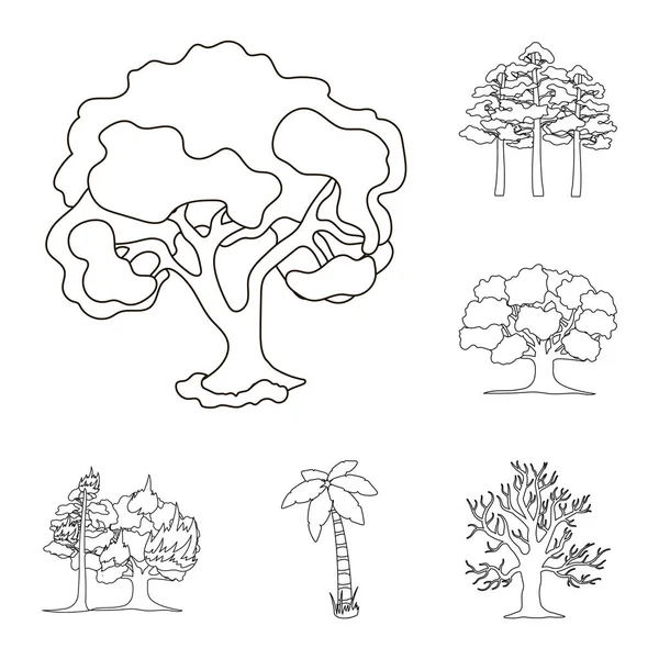 Vectorillustratie van de boom en forest pictogram. Set van boom en groene vector pictogram voor voorraad. — Stockvector