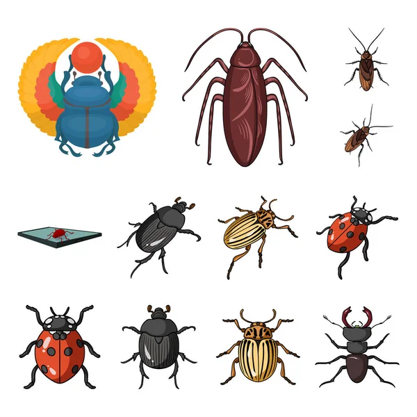Isolated object of insect and beetle icon. Set of insect and halloween vector icon for stock. — Stock Vector