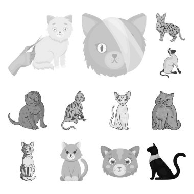 Evde beslenen hayvan ve sphynx logo vektör Illustration. Web için evde beslenen hayvan ve eğlenceli hisse senedi simgesi kümesi.
