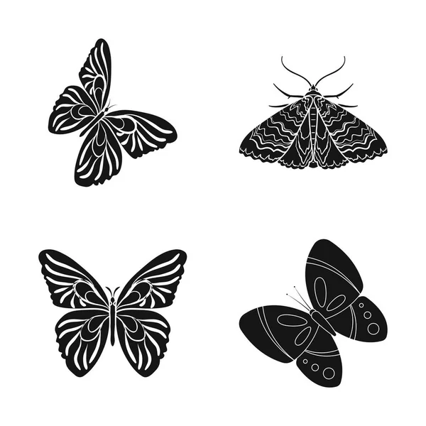 Diseño vectorial de color y símbolo de resorte. Colección de ilustración vectorial de color y mosca . — Vector de stock