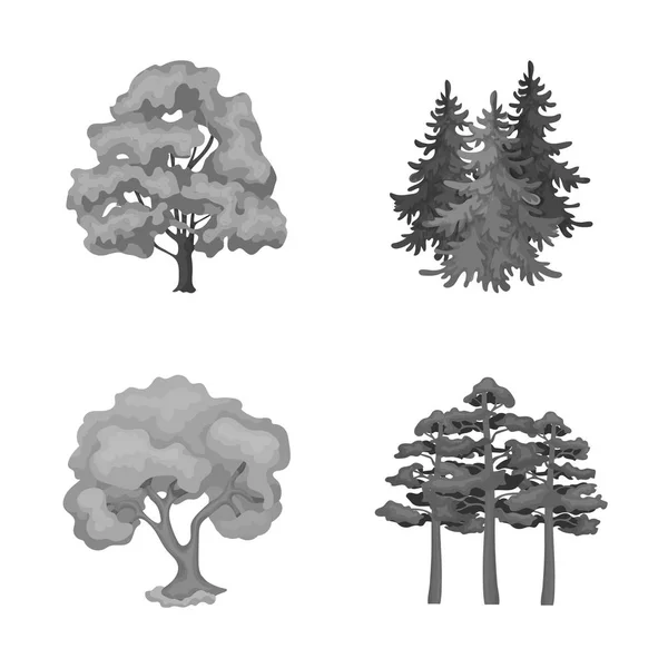 Vektorové Ilustrace Strom Les Loga Sbírka Strom Zelené Burzovní Symbol — Stockový vektor