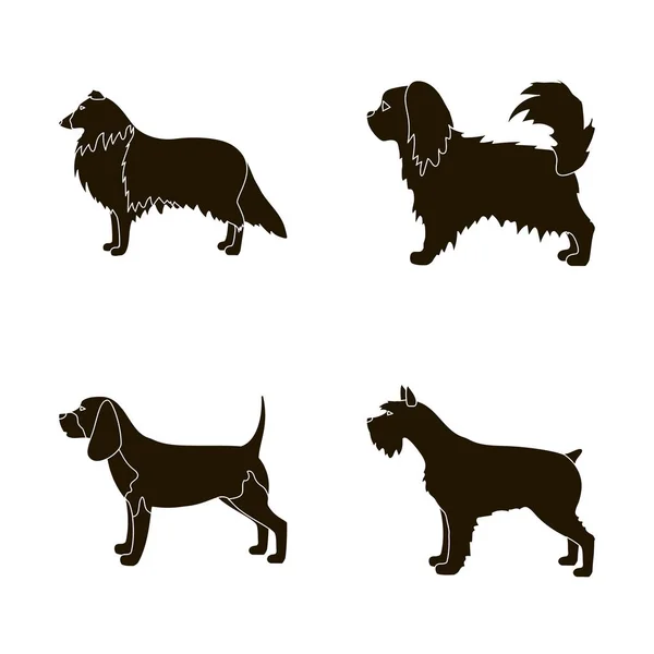 Isolated object of cute and puppy sign. Collection of cute and animal stock vector illustration. — Stock Vector