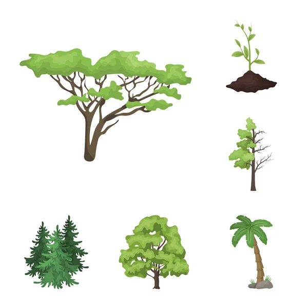 Vector illustration of tree  and forest sign. Set of tree  and green stock vector illustration. — Stock Vector