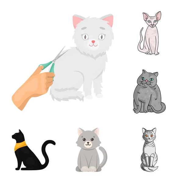 Ilustración vectorial del logotipo de mascotas y esfinges. Colección de mascotas y diversión stock vector ilustración . — Vector de stock