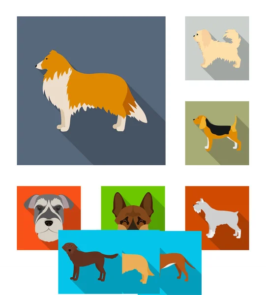 Vector design of cute and puppy logo. Collection of cute and animal vector icon for stock. — Stock Vector