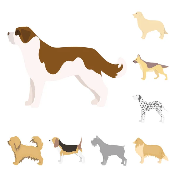 Diseño vectorial de lindo y cachorro símbolo. Colección de lindo y animal stock vector ilustración . — Vector de stock