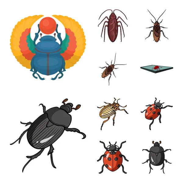 Isolated object of insect and beetle symbol. Set of insect and halloween vector icon for stock. — Stock Vector