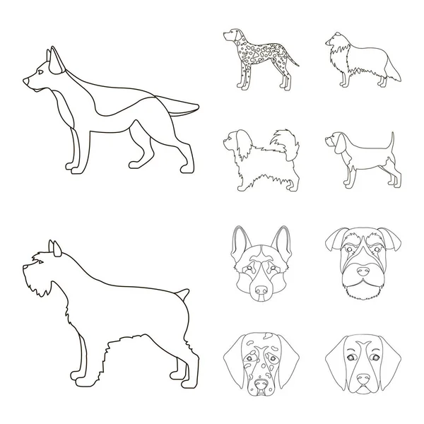 Ilustración vectorial del logotipo lindo y cachorro. Colección de lindo y animal icono de vectores para stock . — Vector de stock