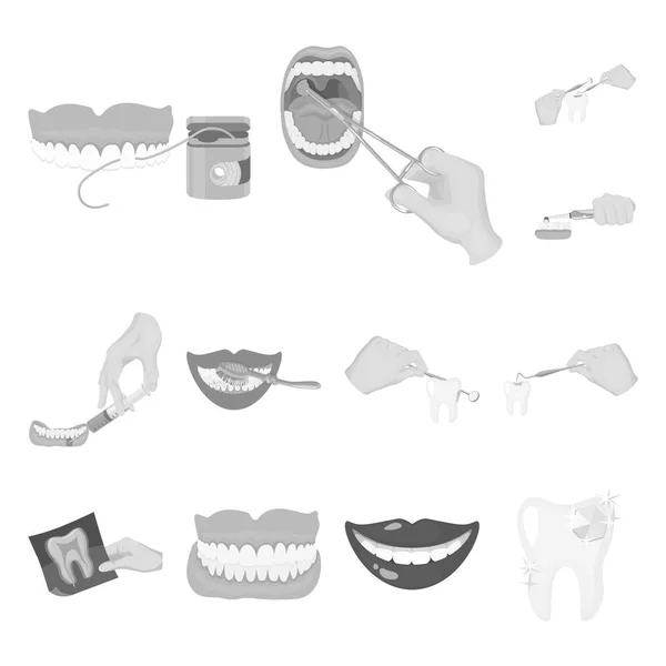 Objet isolé de dent et signe heureux. Ensemble d'illustration vectorielle de dents et de papier blanchissant . — Image vectorielle