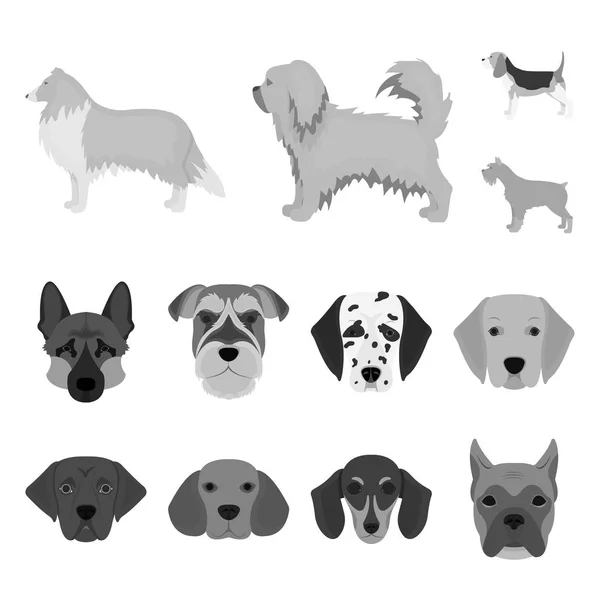 Diseño Vectorial Lindo Cachorro Símbolo Conjunto Icono Vector Lindo Animal — Vector de stock