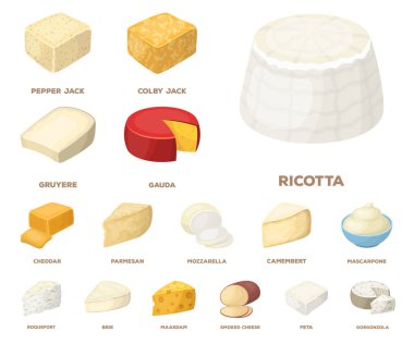 Different kind of cheese cartoon icons in set collection for design.Milk product cheese vector symbol stock web illustration. clipart