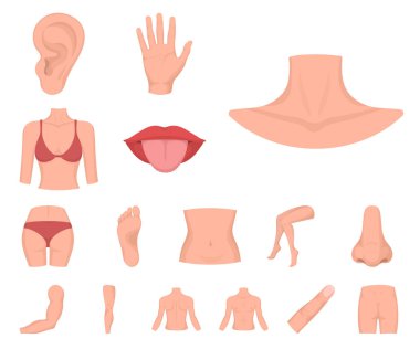 Vücut, bacak karikatür simgeleri tasarım için küme toplama bir parçası. İnsan anatomisi vektör simge stok web çizimi.