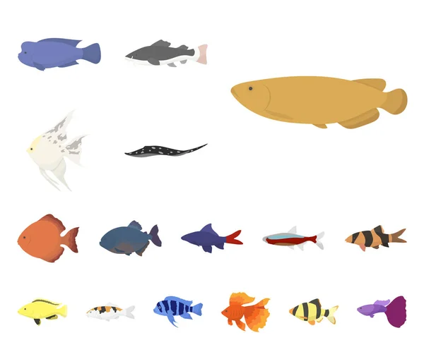 Διάφορα είδη ψαριών κινουμένων σχεδίων εικονίδια στη συλλογή σετ για σχεδιασμό. Θαλάσσιο και το ενυδρείο ψάρια σύμβολο μετοχής web εικονογράφηση φορέα. — Διανυσματικό Αρχείο