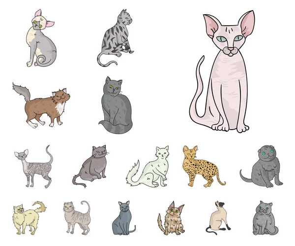 Raser av katter tecknad ikoner i set samling för design. Husdjur katt vektor symbol lager web illustration. — Stock vektor