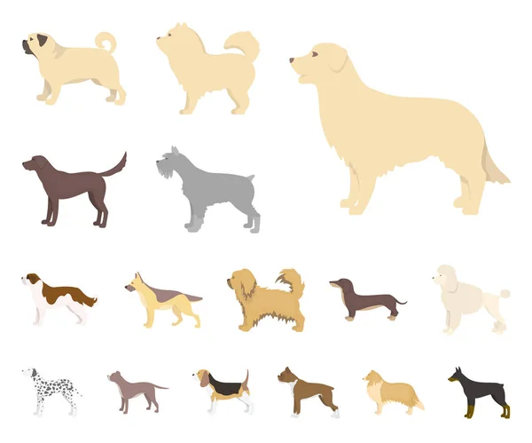 Dog Breeds Cartoon Icons Set Collection Design Dog Pet Vector — Stock Vector