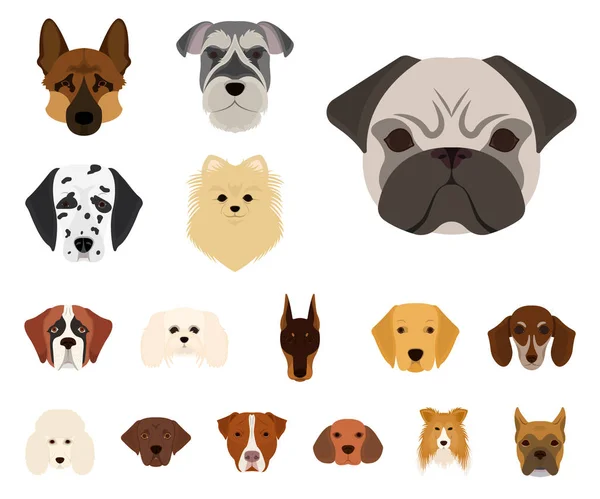 Rasy psów kreskówka ikony w kolekcja zestaw do projektowania. Pysk psa wektorowej symbol zasobów sieci web. — Wektor stockowy