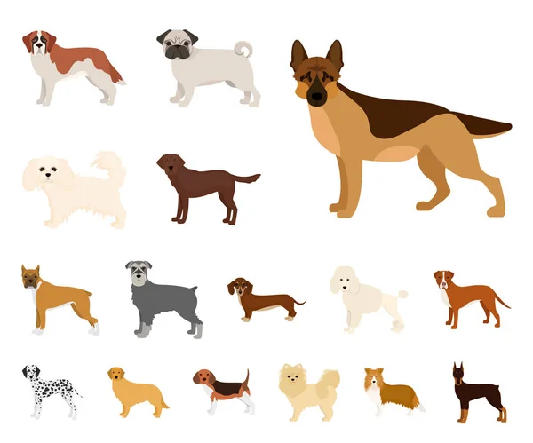 Perro razas iconos de dibujos animados en conjunto de colección para design.Dog mascota vector símbolo stock web ilustración . — Vector de stock