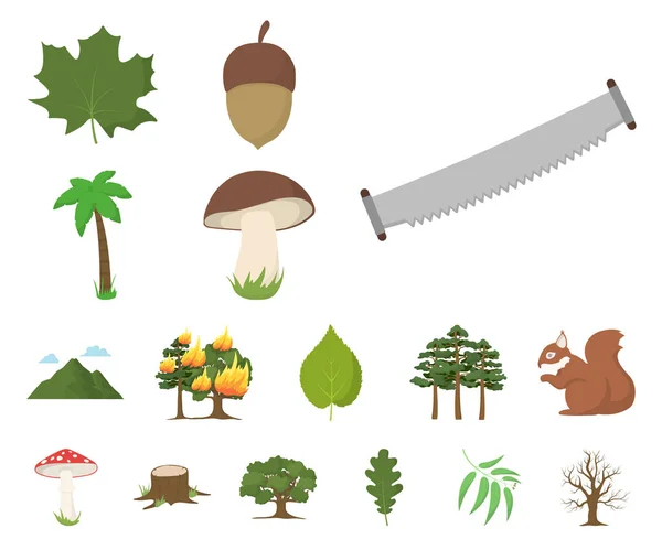 Ícones de desenhos animados de floresta e natureza na coleção de conjuntos para design. Floresta vida vetor símbolo web ilustração . — Vetor de Stock