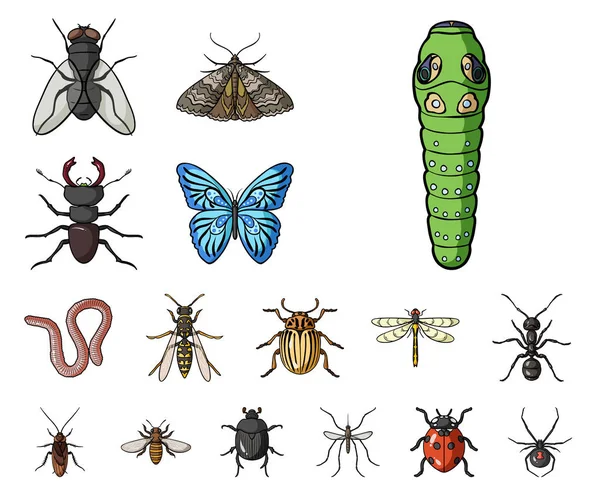 Different kinds of insects cartoon icons in set collection for design. Insect arthropod vector symbol stock web illustration. — Stock Vector