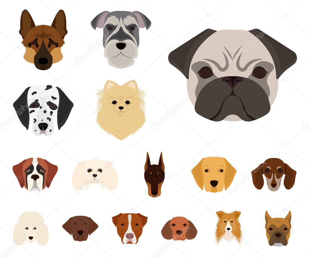 Dog breeds cartoon icons in set collection for design.Muzzle of a dog vector symbol stock  illustration.