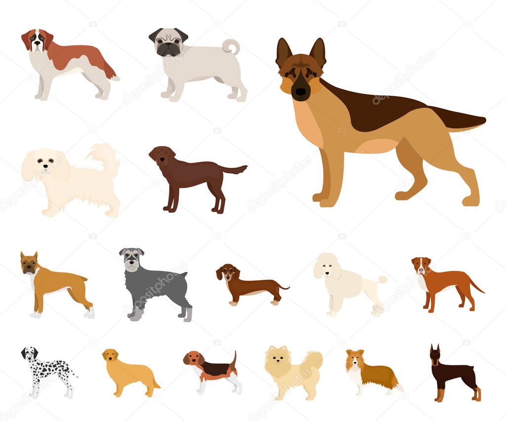 Dog breeds cartoon icons in set collection for design.Dog pet vector symbol stock  illustration.