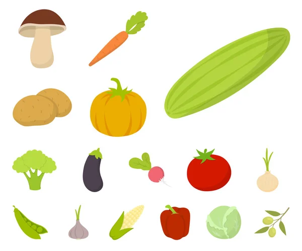 Diferentes tipos de verduras iconos de dibujos animados en la colección de conjuntos para el diseño. Vegetales y vitaminas vector símbolo stock web ilustración . — Vector de stock