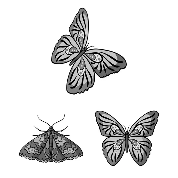 Benda warna dan tanda musim semi yang terisolasi. Collection of color and fly stock vector illustration . - Stok Vektor