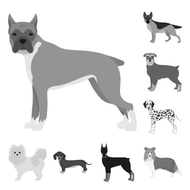 Şirin izole nesnesini ve işareti. Şirin ve hisse senedi vektör çizim topluluğu.