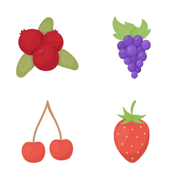 Ilustracja wektorowa logo jagód i owoców. Zbiór jagód i redberry Stockowa ilustracja wektorowa. — Wektor stockowy