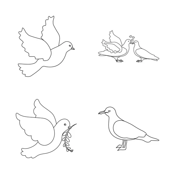 Diseño vectorial del logotipo de vuelo y paloma. Conjunto de vuelo y vector portador icono para stock . — Vector de stock